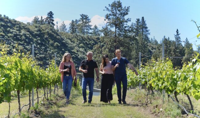 The owners Katie and Ben walking through the vineyard with the previous owners Cynthia and David
