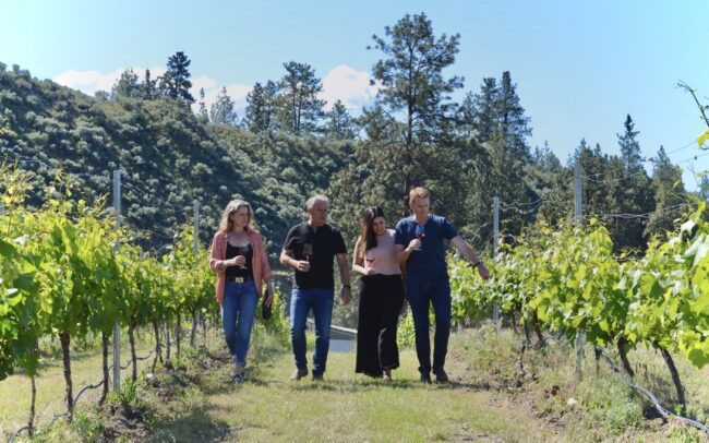 The owners Katie and Ben walking through the vineyard with the previous owners Cynthia and David